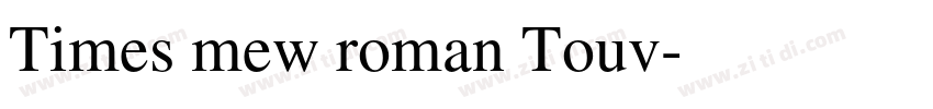 Times mew roman Touv字体转换